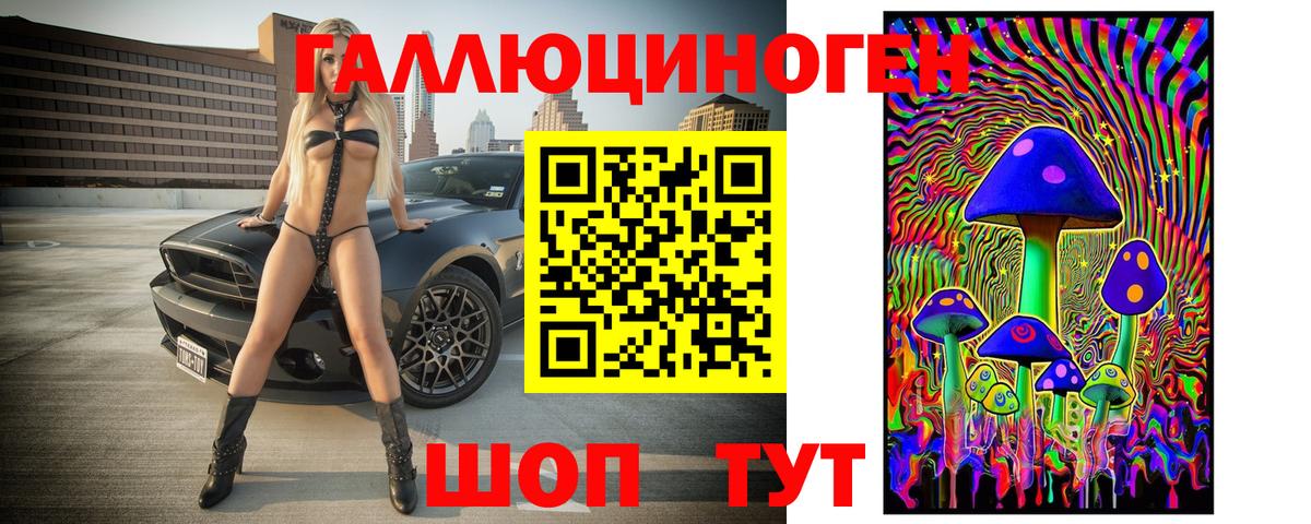 Псилоцибиновые грибы Psilocybe Унеча