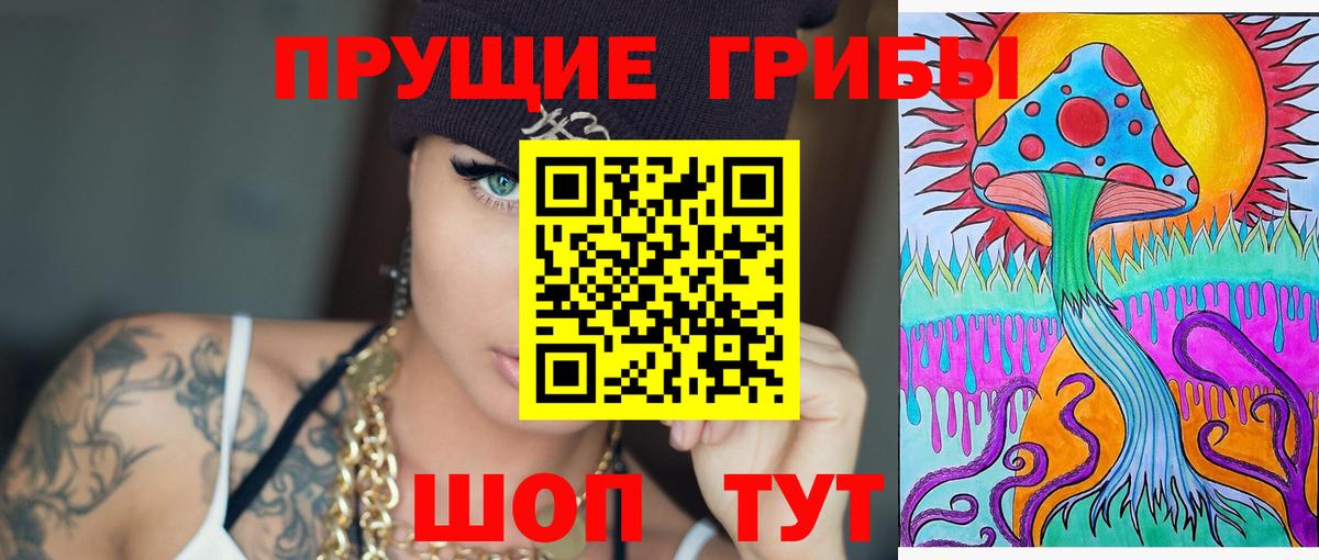 Псилоцибиновые грибы GOLDEN TEACHER  Вход с VPN  Псилоцибиновые грибы мицелий  Унеча 